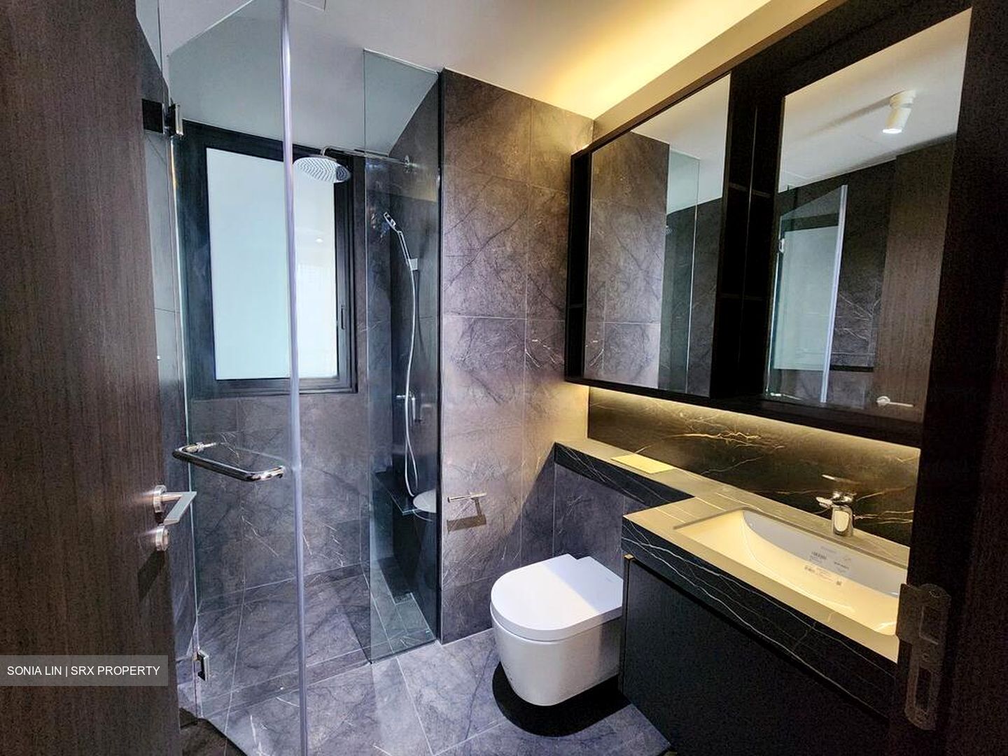 Holland Park (D10), Condominium #456137601
